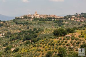 Paesaggio Castello di Rosciano