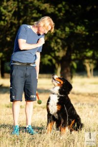 servizio fotografico animali domestici